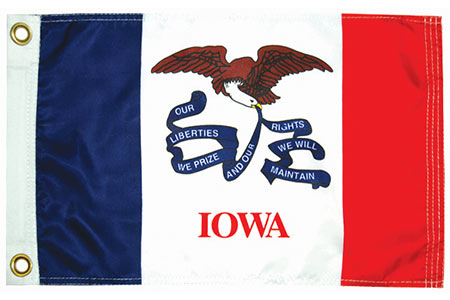 Iowa State Flag